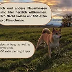Urlaubsmagie - Waldweg - Mit Grill, Terrasse & Saisonalem Pool Апартаменты Lichtenhain (Sebnitz)