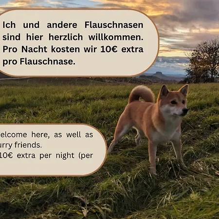 Urlaubsmagie - Waldweg - Mit Grill, Terrasse & Saisonalem Pool Apartmán Lichtenhain (Sebnitz)